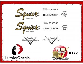  Squier Telecaster Guitar Decal #172
